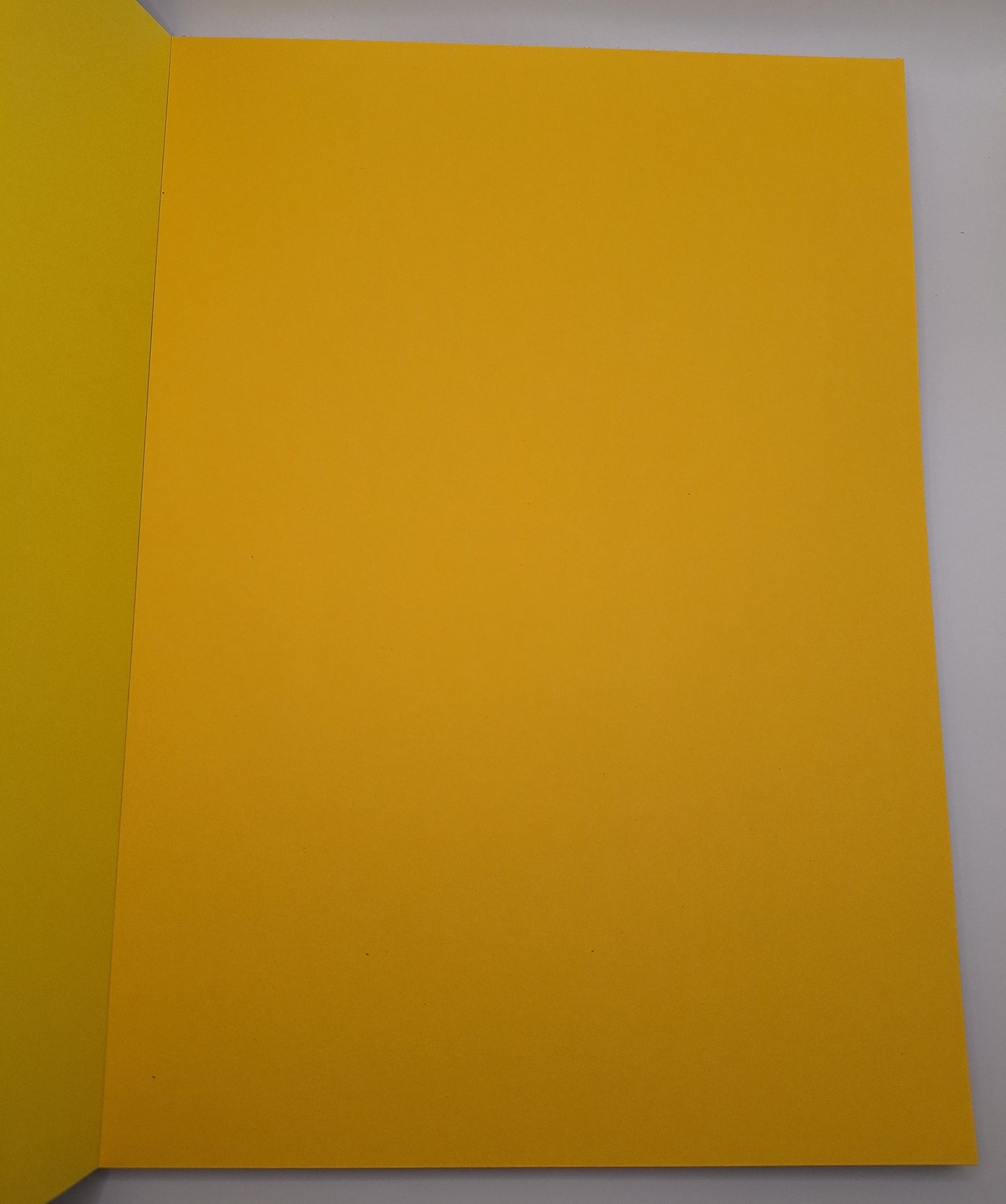 Bunter Bastelkarton (Intensive & Pastellfarben) 24 Farben 270 gsm | Coloured Cardboard (Intensive & Pastels)