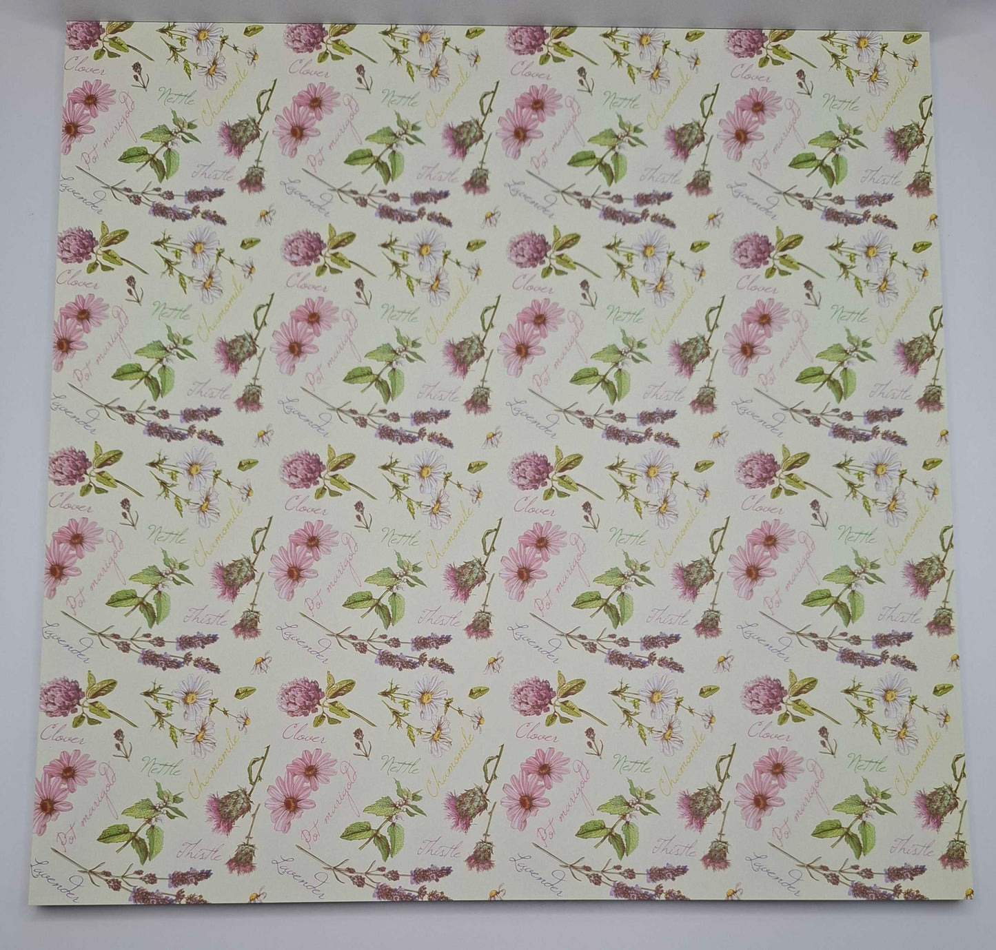 Fruit & Flowers - enjoy the fruity side of life | Foliert | Designblock | Designpad 30.5x30.5 cm Foil | 30 Blatt | Craft Sensations