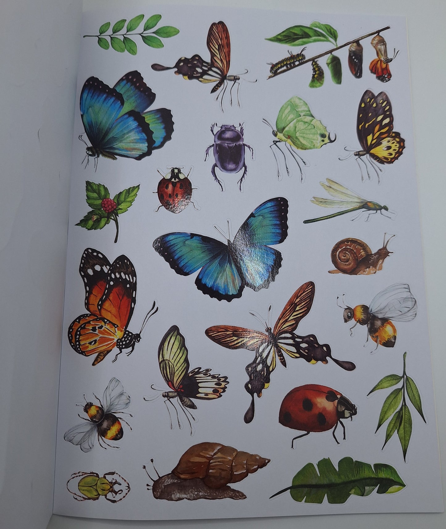 Designblock/gestanzte Bilder (Paper Die-Cut Book Pink) 800+ Motive | DecoTime
