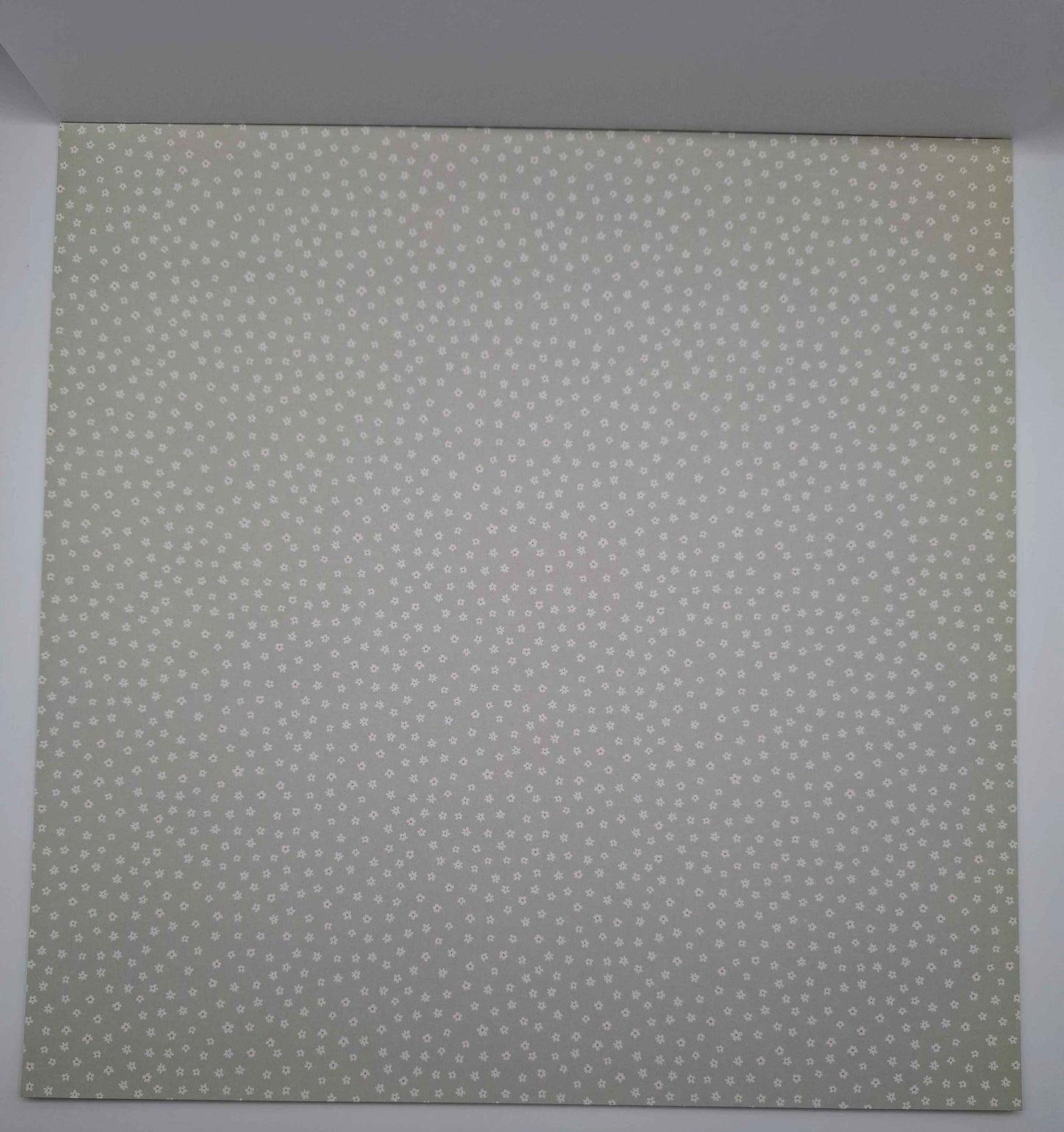 Be A Dreamer | Glitzer | Designblock | Designpad 30.5x30.5 cm Glitter | 30 Blatt | Craft Sensations