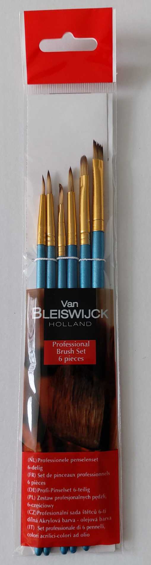 Professsional Brush Set 6 Pieces